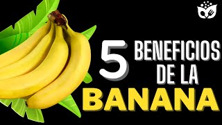 Los 5 Increíbles BENEFICIOS de la BANANA que Debes Conocer 🍌 [upl. by Nylodnewg]