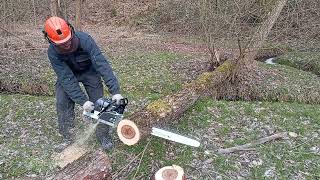 Testing The Holzfforma G660 PRO Stihl MS 660 clone First start 90 cm Semi Chisel [upl. by Addie784]