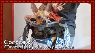 Conoce a Mochila transportadora para perros y gatos Pets Excellence [upl. by Nainatrad]