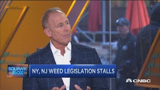 Recreational marijuana use will eventually be legalized Cannabis company CEO [upl. by Macfadyn553]