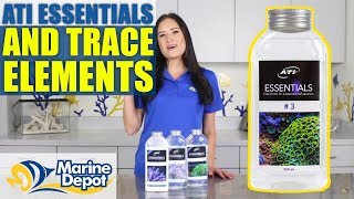 ATI Essentials and Trace Elements What YOU Need to Know [upl. by Maurili791]