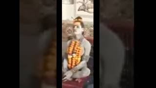 🚩Somanath temple lo aghori matha 🚩🔱🙏 trending viralvideo aghorimatha aghoribaba [upl. by Nhepets]