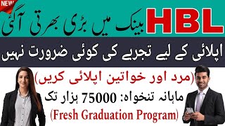 HBL Jobs 2024 Apply Online Now  StepbyStep Guide amp Requirements [upl. by Friend]