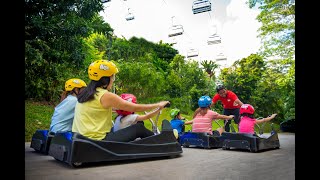 Sentosa Skyline Luge  Singapore [upl. by Leacock121]