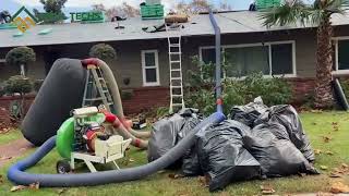 Professional Attic Insulation Removal by Insul Techs  Bay Area Exp [upl. by Xavier]