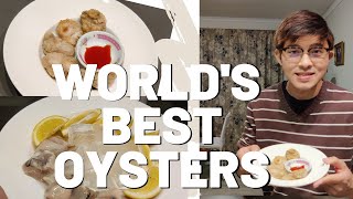 Best Oysters in the World Bluff Oysters  Enriched by Rich [upl. by Anillehs]