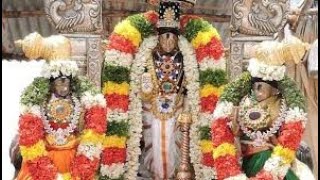 Tiruvarur Gudavasal Srinivasa Perumal Temple Theerthavari தீர்த்தவாரி [upl. by Nannek]