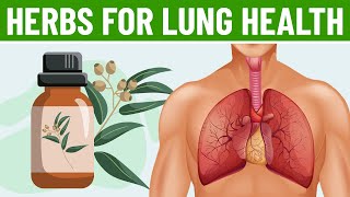 Top 10 Herbs For Lung Health Clearing Mucus Allergens Toxins amp Viruses [upl. by Lenny]