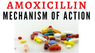 What is Amoxicillin used for 12 valuable TIPS [upl. by Azile]