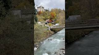 Switzerland 🇨🇭 Gstaad video travel shortvideo shortsvideo nature shorts switzeland nature [upl. by Carlina203]