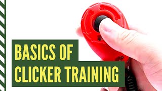 Clicker Training Basics How to Introduce the Clicker for Dogs [upl. by Risser]