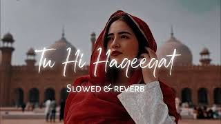 Tu hi HaqeeqatslowedreverbHindi song [upl. by Hcire]