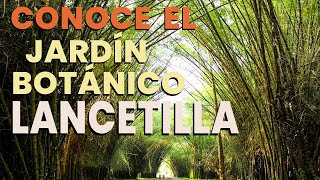 Los secretos del Jardín Botánico Lancetilla en Tela Honduras [upl. by Doreg]