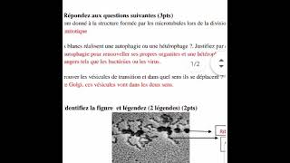 examen de biologie cellulaire 🧬 L1 s1 🦠🦠 [upl. by Aidne]