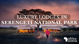 Top 5 Luxury Lodges in Serengeti National Park  Tanzania Safari  Africa Incoming [upl. by Aeli]