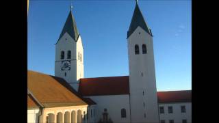 Freising Dom St Maria und Korbinian altes Plenum [upl. by Adlihtam]