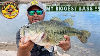 MY BIGGEST BASS EVER [upl. by O'Hara]