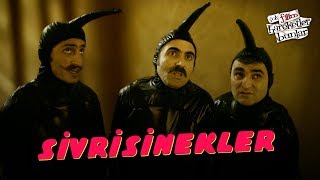 Çok Filim Hareketler Bunlar  Sivrisinekler [upl. by Ramo]