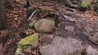 Artists Bluff Loop trail White Mountains NH [upl. by Harald]