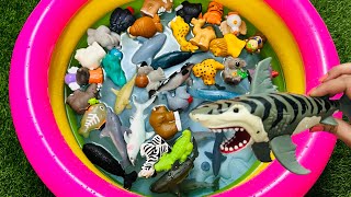 Learn Animal Names Animal toys Animals for kids Sea Animals Wild Zoo Farm Animals for toddlers [upl. by Ymorej]