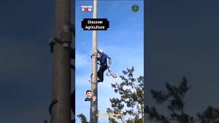 Amazing Electric Pole Climbing Tool shorts  Tree Climbing Tool [upl. by Ulund204]