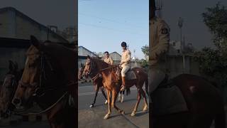 🚓 POLICE REACTION HORSE RIDING power police [upl. by Adnawyek530]