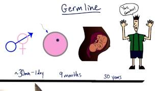 Germline  Tales from the Genome [upl. by Oba]