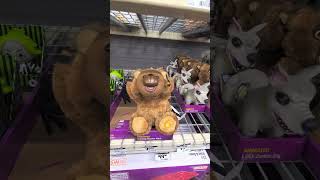 Spooky Halloween Bear halloween bear homedepot animatronics [upl. by Enelam]