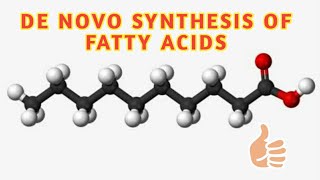 fatty acid synthesis de novo synthesis of fatty acids palmitate synthesis [upl. by Jarita472]