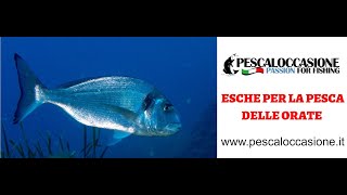 Le migliori sche per la pesca delle orate [upl. by Aryan]