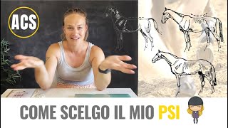 Purosangue inglese PSI per lo sport Come sceglierlo [upl. by Mrots]