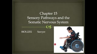 Chapter 15 Lecture Video [upl. by Neumeyer]