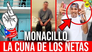 LIDER DE PRISIONES ÑETA ENSEÑA MONACILLO LA CUNA DE LOS ÑETAS EXCLUSIVA WILLY MONACILLO [upl. by Endys]