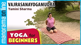 Vajrasanayogamudra  Yoga for beginners by Yamini Sharma  Health Benefits  Manorama Online [upl. by Boyer]