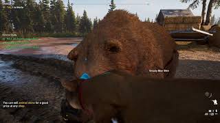 Far Cry 5 Get 2nd Undamaged Grizzly Bear Skin from Farm [upl. by Sima]