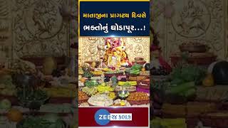 Paush Purnima ના દિવસે Khedbramha માં ઉમટ્યું ભક્તોનું ઘોડાપૂર માતાજીને ધરાવાયો 56 ભોગ shorts [upl. by Nylakcaj]