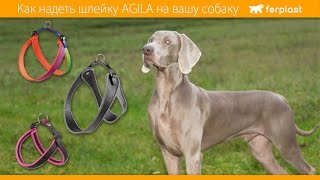 Ferplast  Как надеть шлейку Agila на вашу собаку  RU [upl. by Danice146]