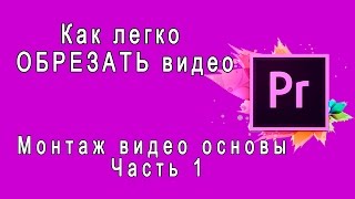 Adobe Premiere Pro Как легко ОБРЕЗАТЬ видео Монтаж видео основы Часть 1 Подрезка видео [upl. by Ahsiekim306]