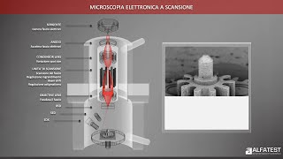 Come funziona il microscopio a scansione elettronica SEM [upl. by Akoyin]