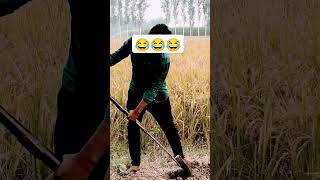 Lilu mat roweshortvideo shorts short trending trendingshorts funny farming [upl. by Ainaj]