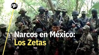 Los Zetas ¿cuál es el origen y el peso de este cártel [upl. by Daj940]