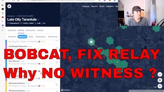 FIX RELAY BOBCAT MINER [upl. by Eitak]