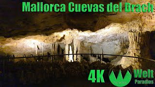 Mallorca Höhle in Spanien Cuevas del Drach Coves del Drac [upl. by Lindeberg]