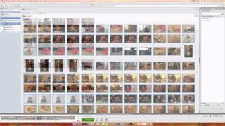 Tutorial How to Get Your Photos Out of Picasa [upl. by Temirf]