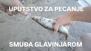 UPUTSTVO ZA PECANJE SMUĐA GLAVINJAROM 🎣 [upl. by Kuo]