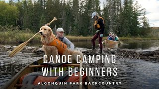 Canoe Camping with Beginners Algonquin Park Backcountry [upl. by Marder]