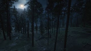 Rain sounds in the Night Forest Ambience ASMR [upl. by Kcinemod575]