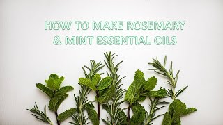 DIY ROSEMARY AND MINT ESSENTIAL OILINFUSED OIL [upl. by Goldie738]