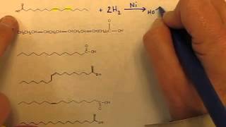 VIDEO Fatty Acids Reactions 1 Hydrogenation [upl. by Bridie]