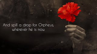 We Raise Our Cups  Hadestown lyric video [upl. by Olram726]